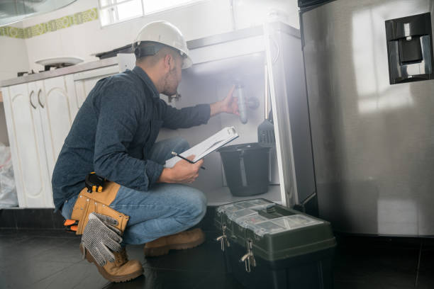 Best Clogged Drain Plumber  in Sardinia, OH