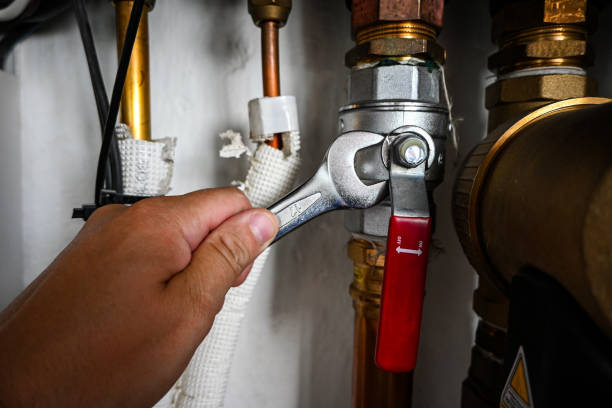 Best Same-Day Plumbing Service  in Sardinia, OH